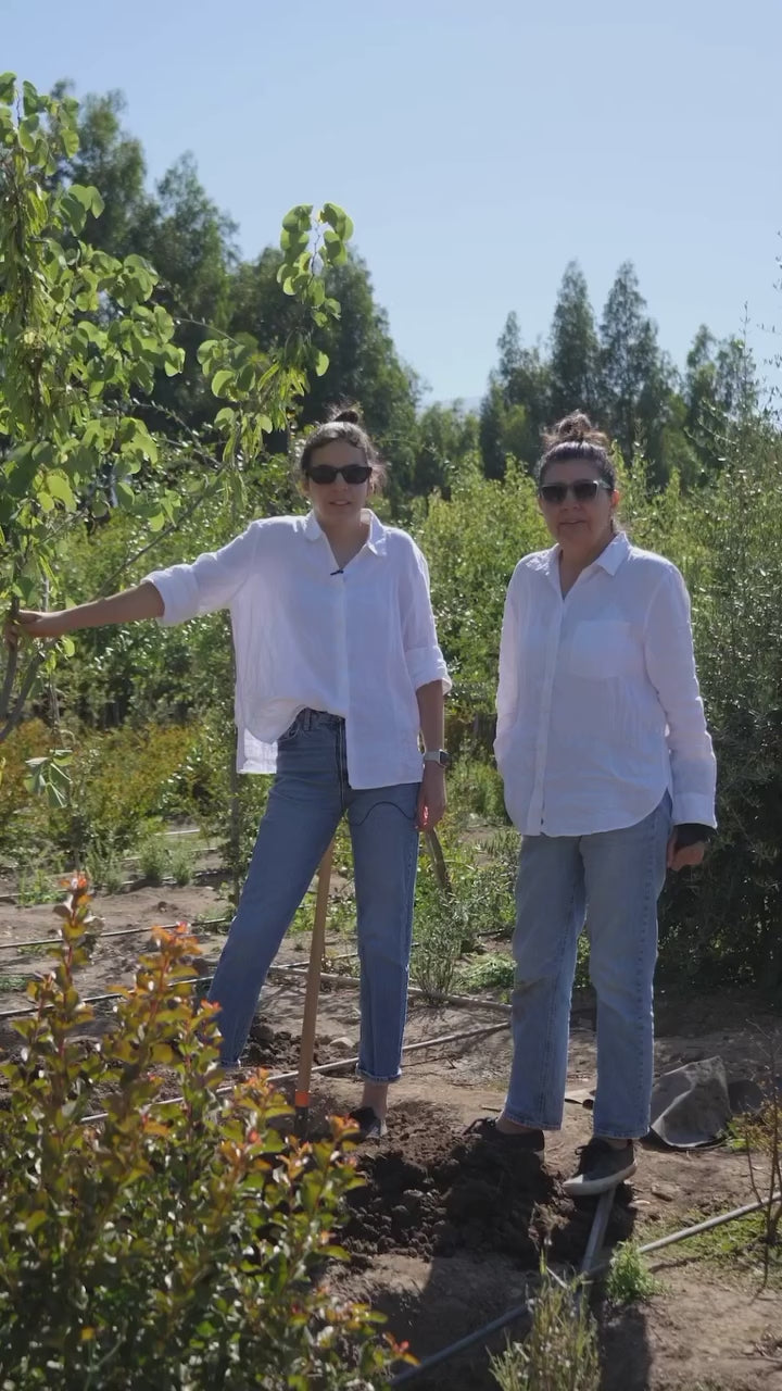 Cargar video: 